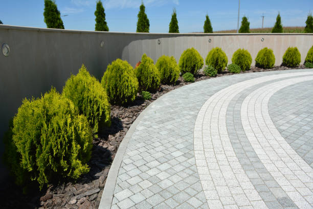 Best Residential Driveway Paver Services  in Palmyra, WI